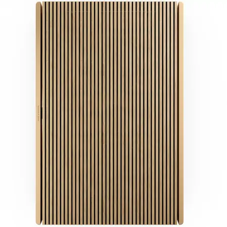 B&O Loa Bluetooth Beosound Level Gold