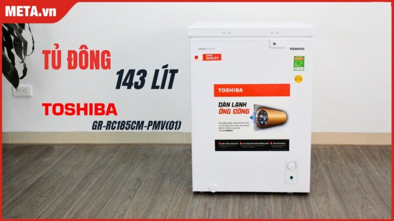 TỦ ĐÔNG TOSHIBA GR-RC185CM-PMV(01)