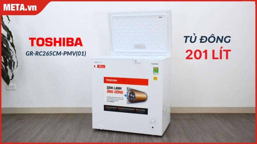 TỦ ĐÔNG TOSHIBA GR-RC265CM-PMV(01)