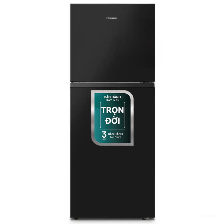 Hisense Inverter 205 Lít RT256N4EBN