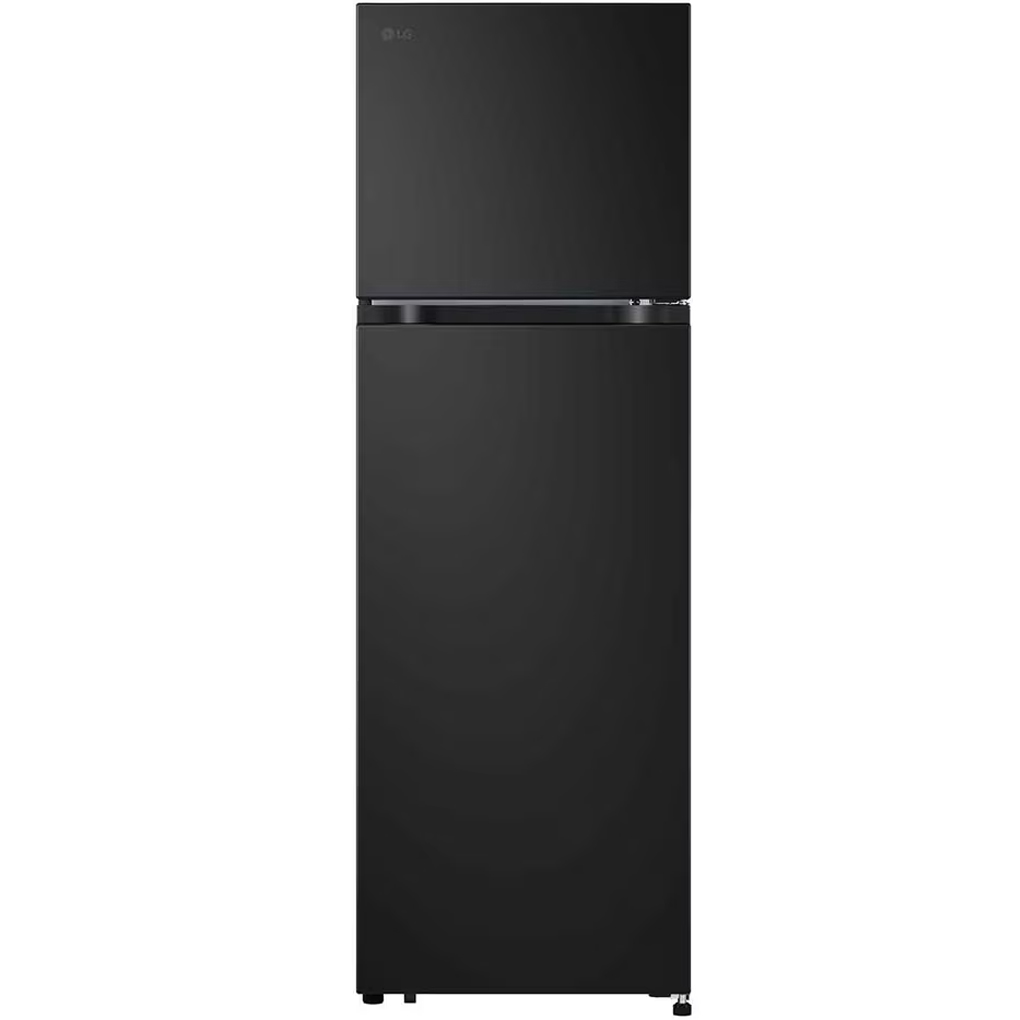 LG Inverter 266 Lít LTB26BLM