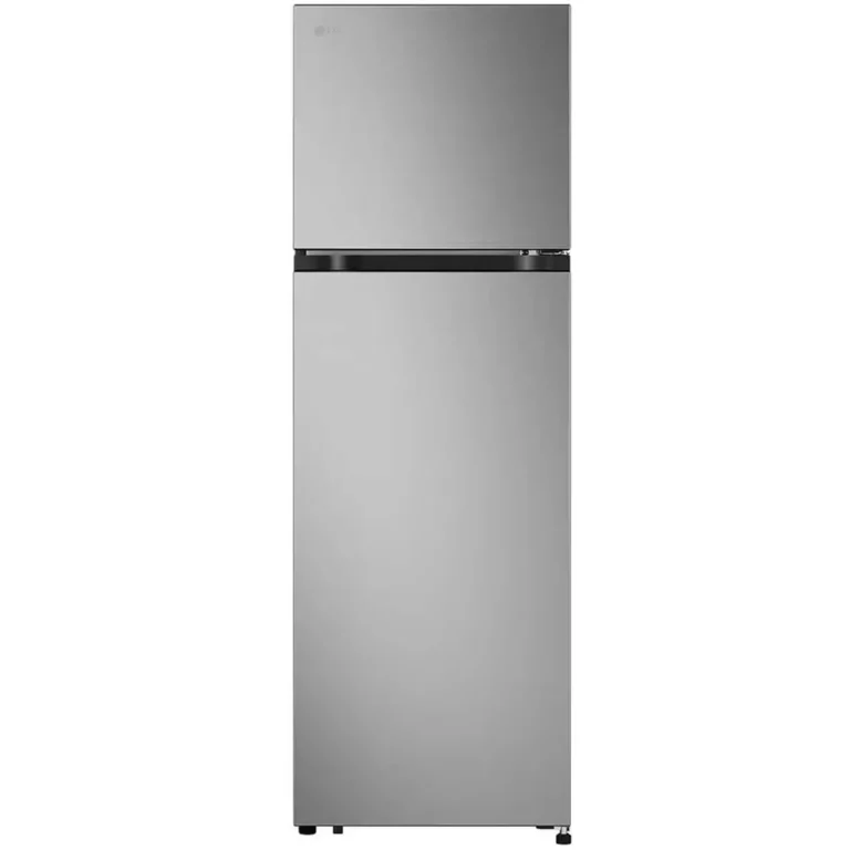 LG Inverter 266 Lít LTB26SVM