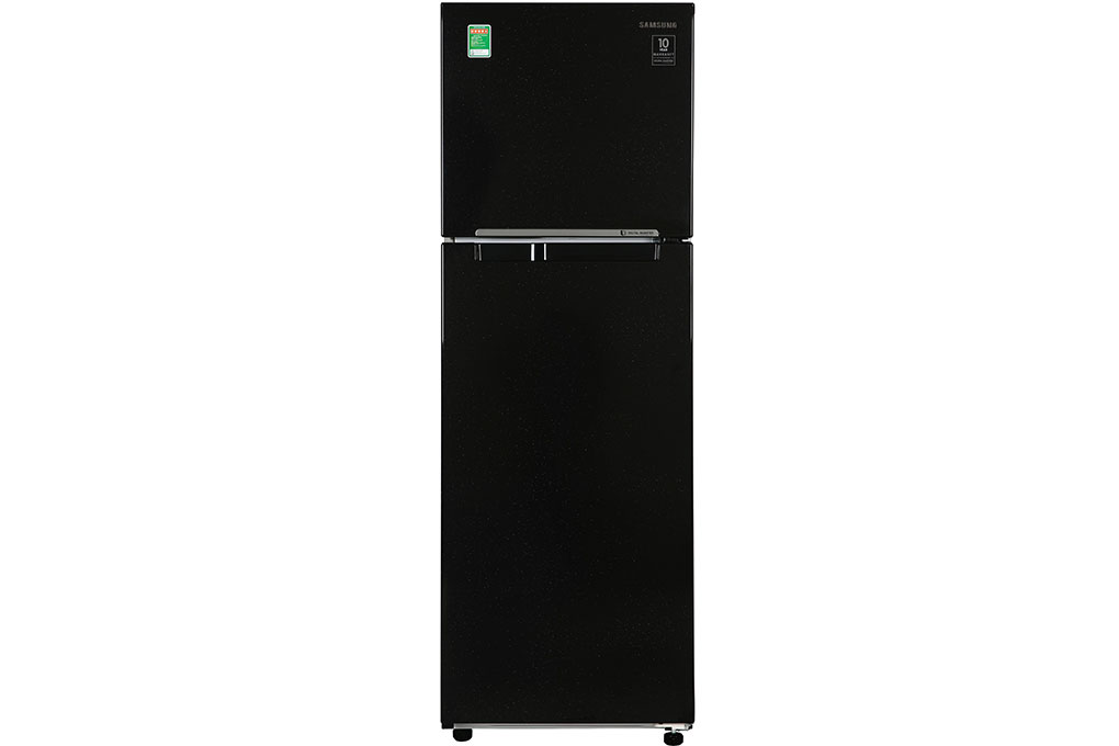 TỦ LẠNH SAMSUNG RT25M4032BU/SV