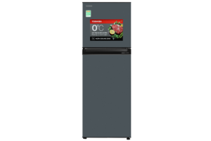 TỦ LẠNH TOSHIBA GR-RT303WE-PMV(52)