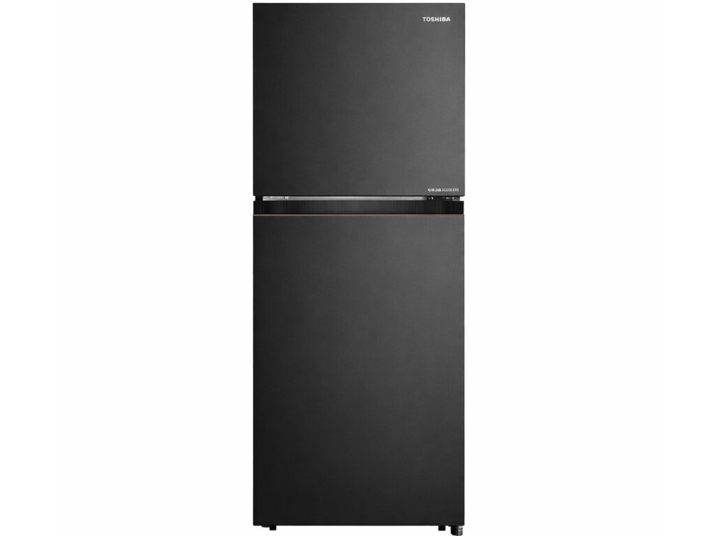 Tủ lạnh Toshiba Inverter 207 lít GR-RT268WE-PMV(68)